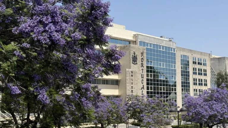 Edifício histórico da Universidade Portucalense, no Porto